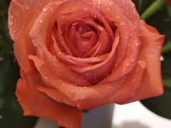 -小菜园新徽菜(无锡人民路红豆店)