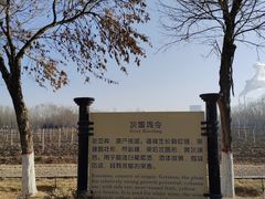 -龙谕酒庄