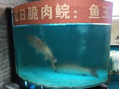 -红日饭店(裕隆三路店)