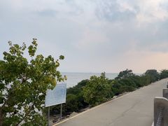 -深圳湾公园(南山区)