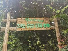 -青青世界