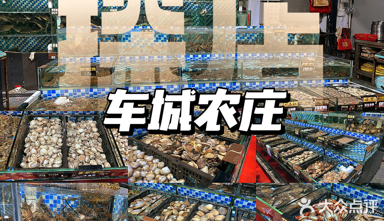 佛山行｜车城农庄