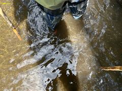 -峡谷浮石林景区
