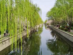 -海棠花溪(元大都城垣遗址公园)
