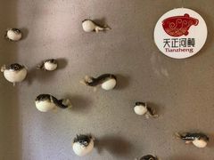 -天正河鲀·河豚亭(大连店)