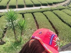 -优游吧斯邹族文化部落