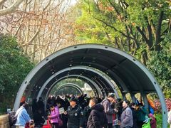 -人民公园-相亲角