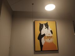 -有猫主题·治愈系猫咖(曾厝垵店)