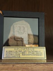 -Zoolung Zoolung动物主题公园(海信广场店)