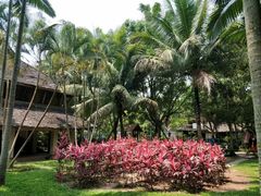 -西双版纳勐泐文化旅游区