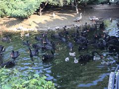 -长白岛森林公园