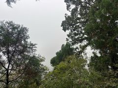 -北京上方山国家森林公园