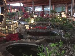 -河北霸州茗汤日月潭温泉