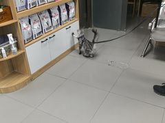 -瑞派宠物医院·24h·骨外科·皮肤科·全科宠物医疗转诊中心(沈阳浑南院)