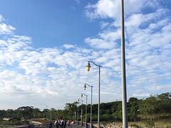 -深圳湾公园-停车场