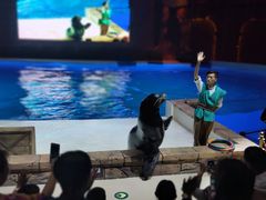 -哈尔滨波塞冬海底世界
