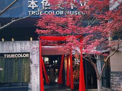 -苏州本色美术馆