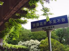 -音乐台