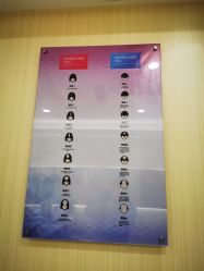 -碧莲盛·不剃发植发