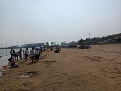 -碧海金沙