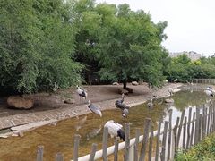 -齐齐哈尔龙沙动植物园