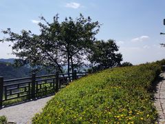 -铁山坪森林公园