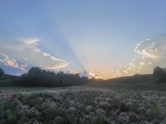 -御道口草原森林风景区