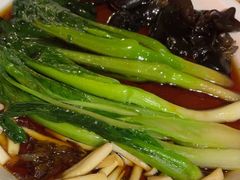 -新白鹿餐厅(百联中环店)