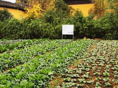 -重元寺香积厨素斋馆