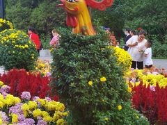 -迎泽公园