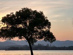 -杭州西湖柳莺里酒店·闻莺厅