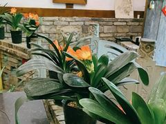 -大院河·仙鱼莊(九眼桥店)