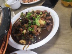 -庄稼人(蓝岸3G店)