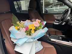 -上海星瀚奔驰4S店(红柳路店)