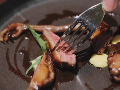 鸽子肉-EGoN