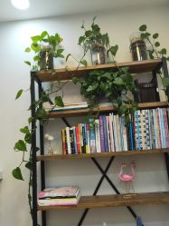 -梳蕾娜 HAIR SALON