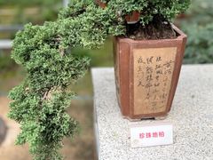 -北京市劳动人民文化宫(太庙)