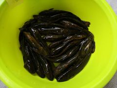 -彭大姐老店黄辣丁(新津店)