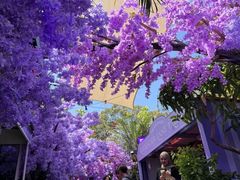 -The Grounds of Alexandria