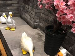 -京味斋·北京烤鸭(北京南站洋桥店)