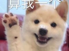 -茶百道(世纪大道店)
