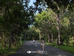 -日照海滨国家森林公园