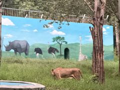 -秦皇岛野生动物园