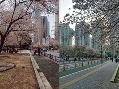 -西北湖绿化广场