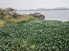 -阳澄湖半岛旅游度假区