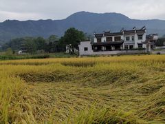 -塔川景区
