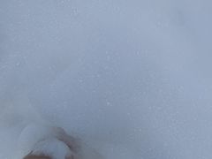 -上海虹桥西郊庄园丽笙大酒店