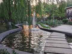 -南宫五洲植物乐园