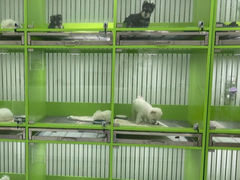 -唐小姐の猫狗洗护·购宠旗舰店(周浦万达店)