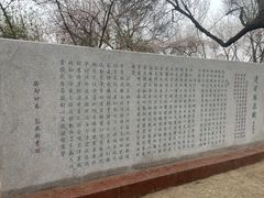 -桃花堤公园